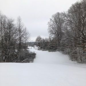 Meet your Posher, Cara